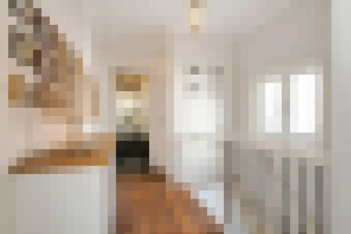 Vismarktstraat 24 Geertruidenberg thumbnail 26