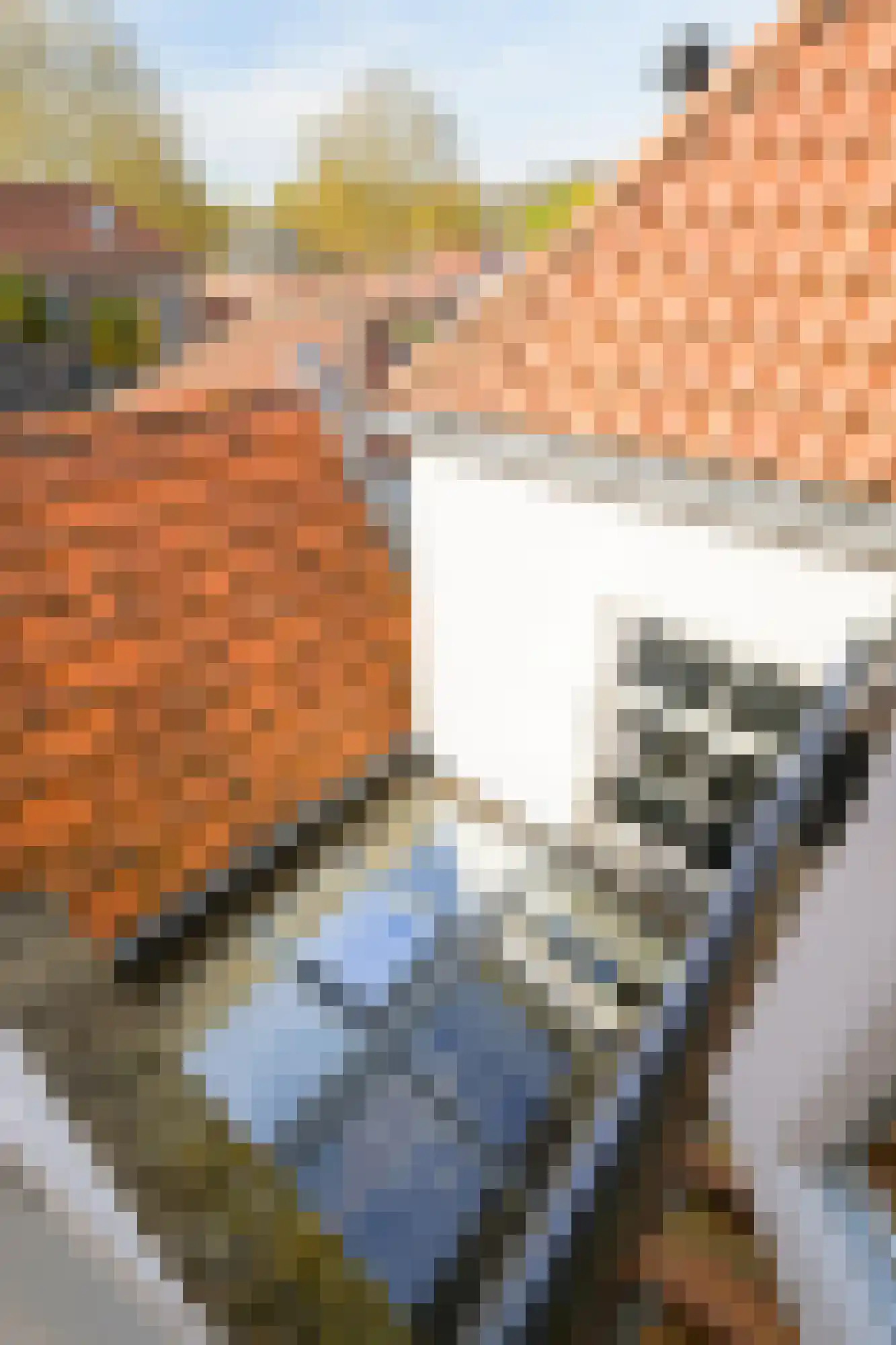 Vismarktstraat 24 Geertruidenberg thumbnail 33