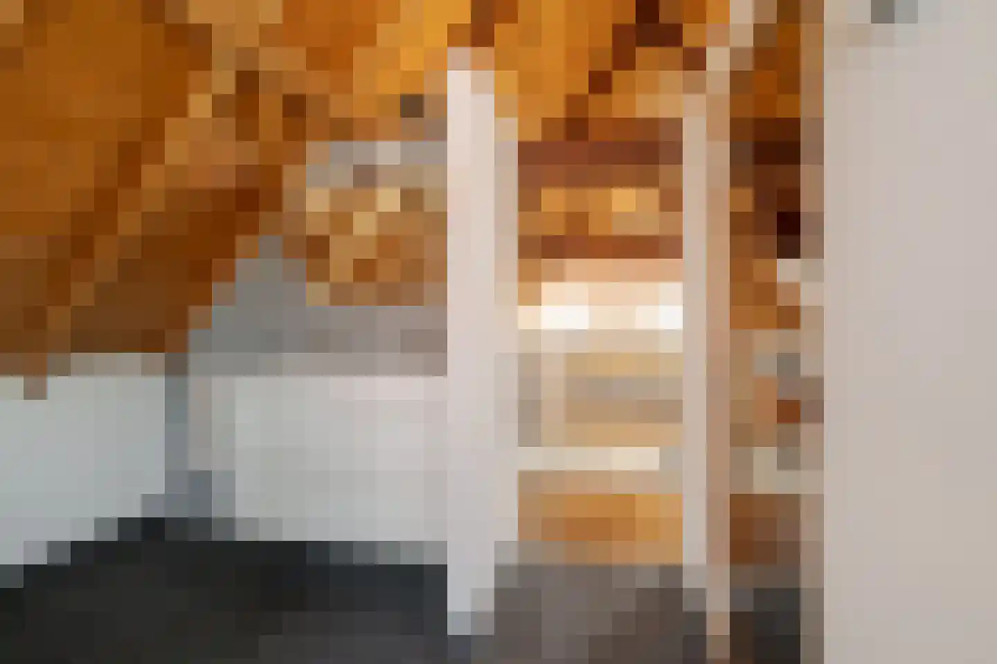 Vismarktstraat 24 Geertruidenberg thumbnail 43
