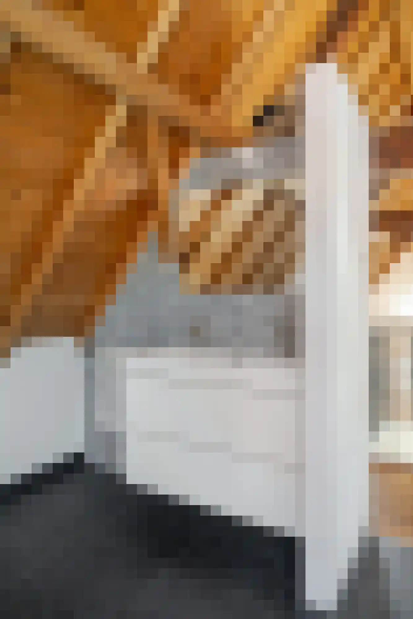 Vismarktstraat 24 Geertruidenberg thumbnail 44