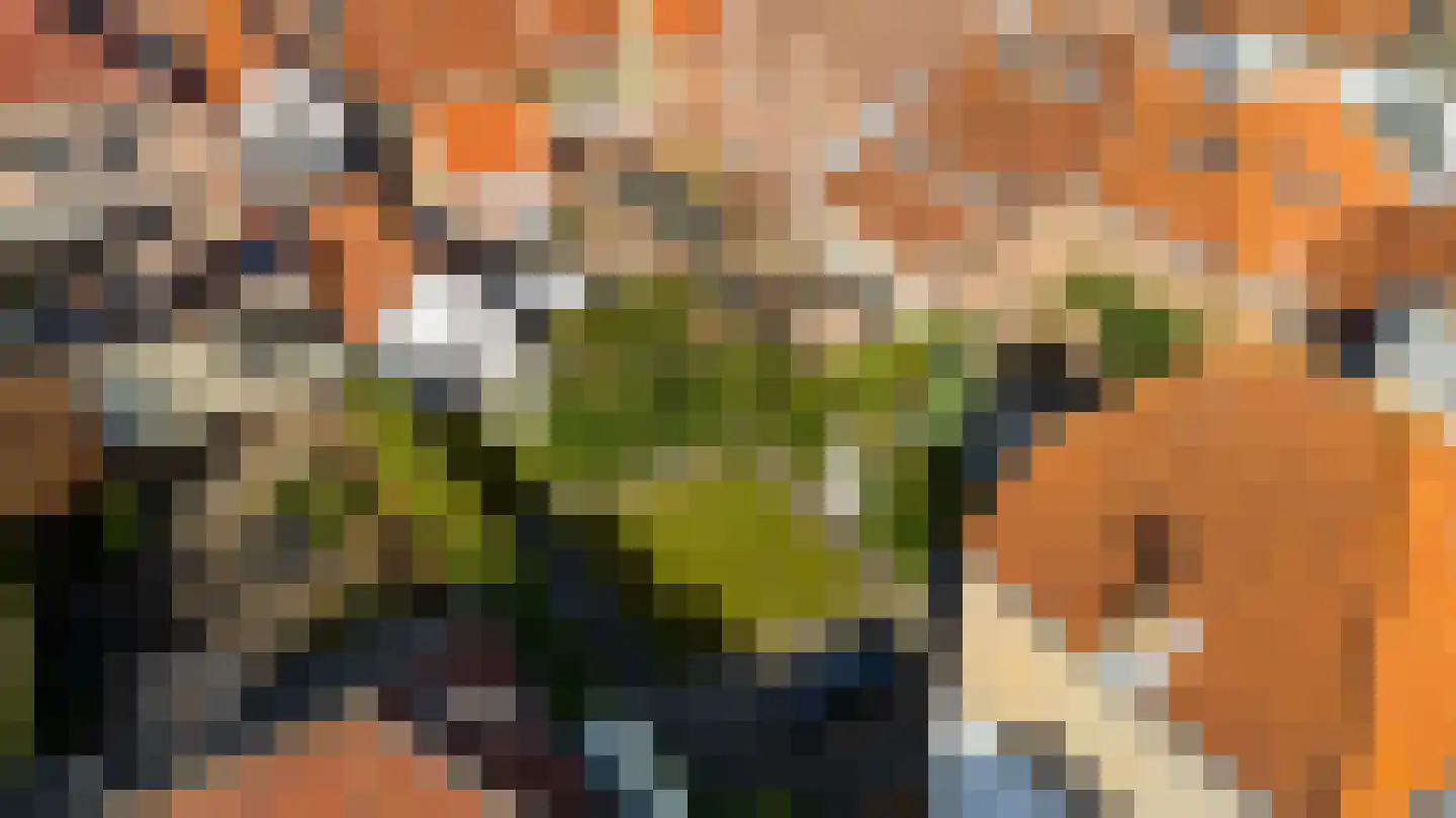 Vismarktstraat 24 Geertruidenberg thumbnail 52