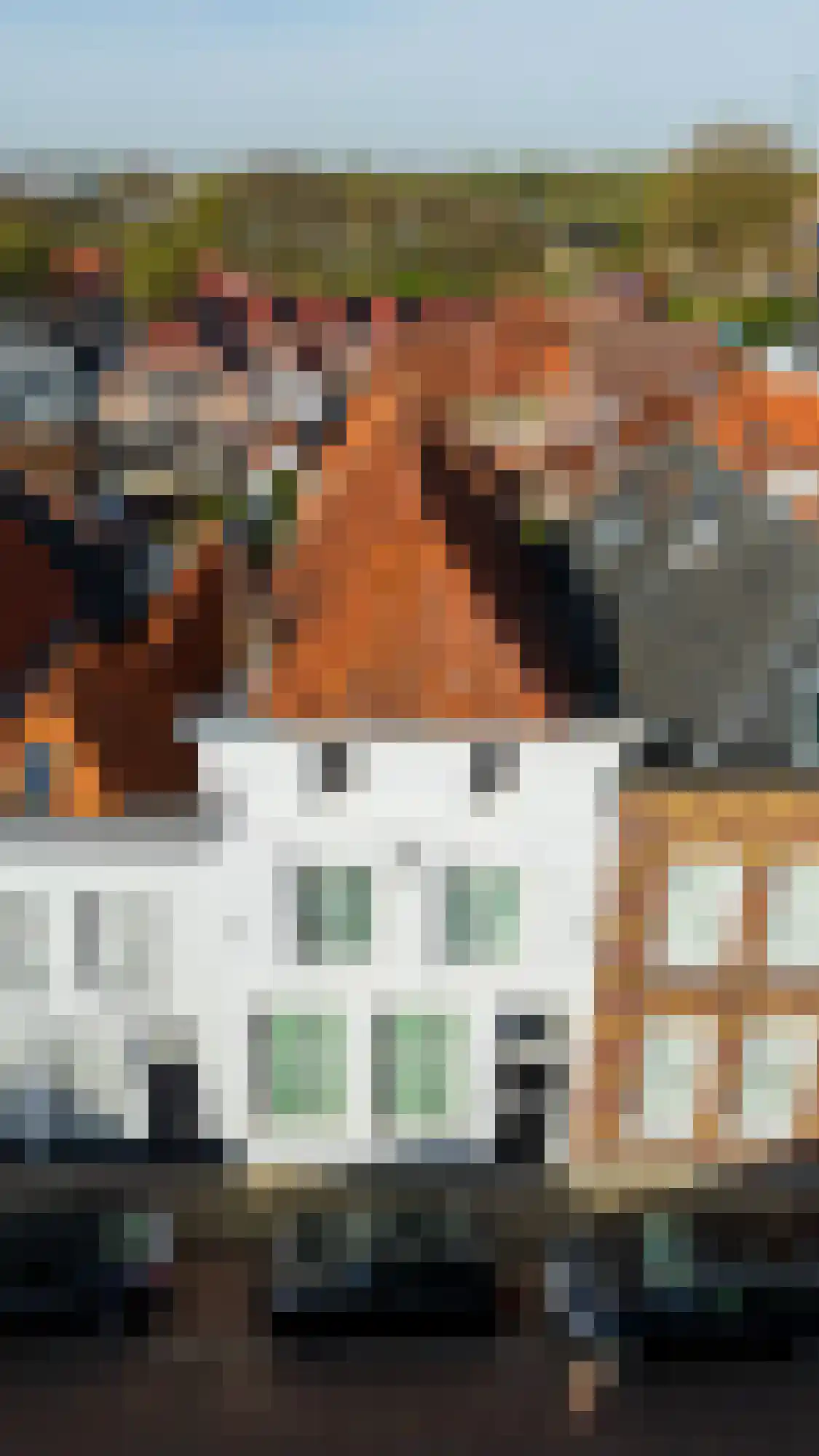Vismarktstraat 24 Geertruidenberg thumbnail 6