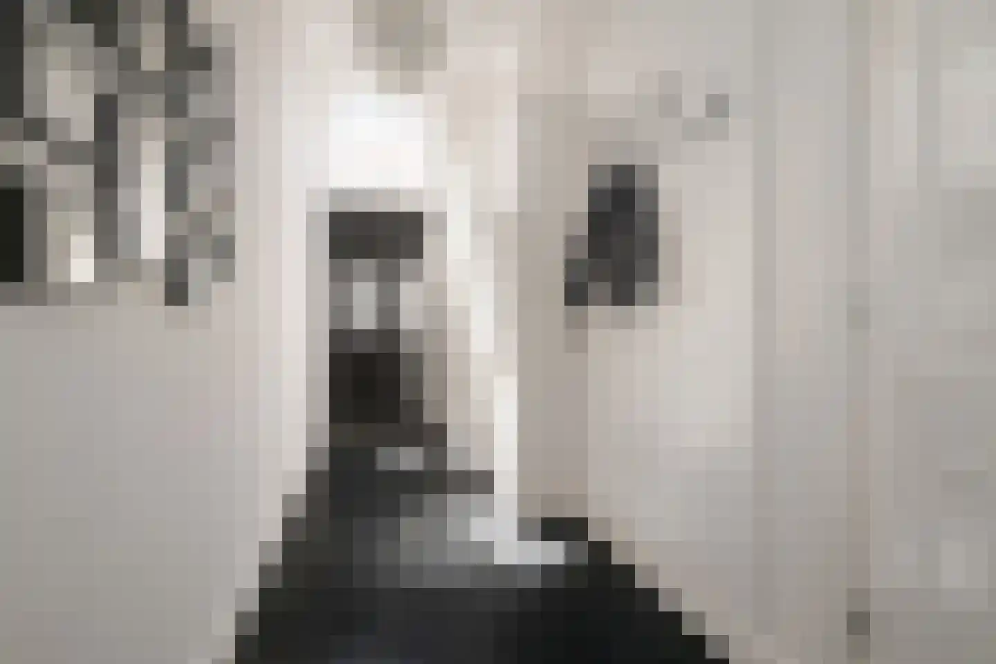 Vismarktstraat 24 Geertruidenberg thumbnail 8