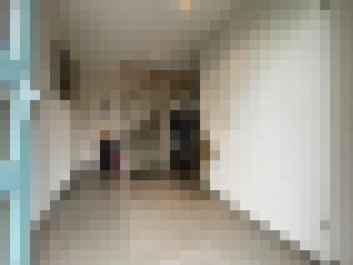 Visotter 15 Amersfoort thumbnail 4
