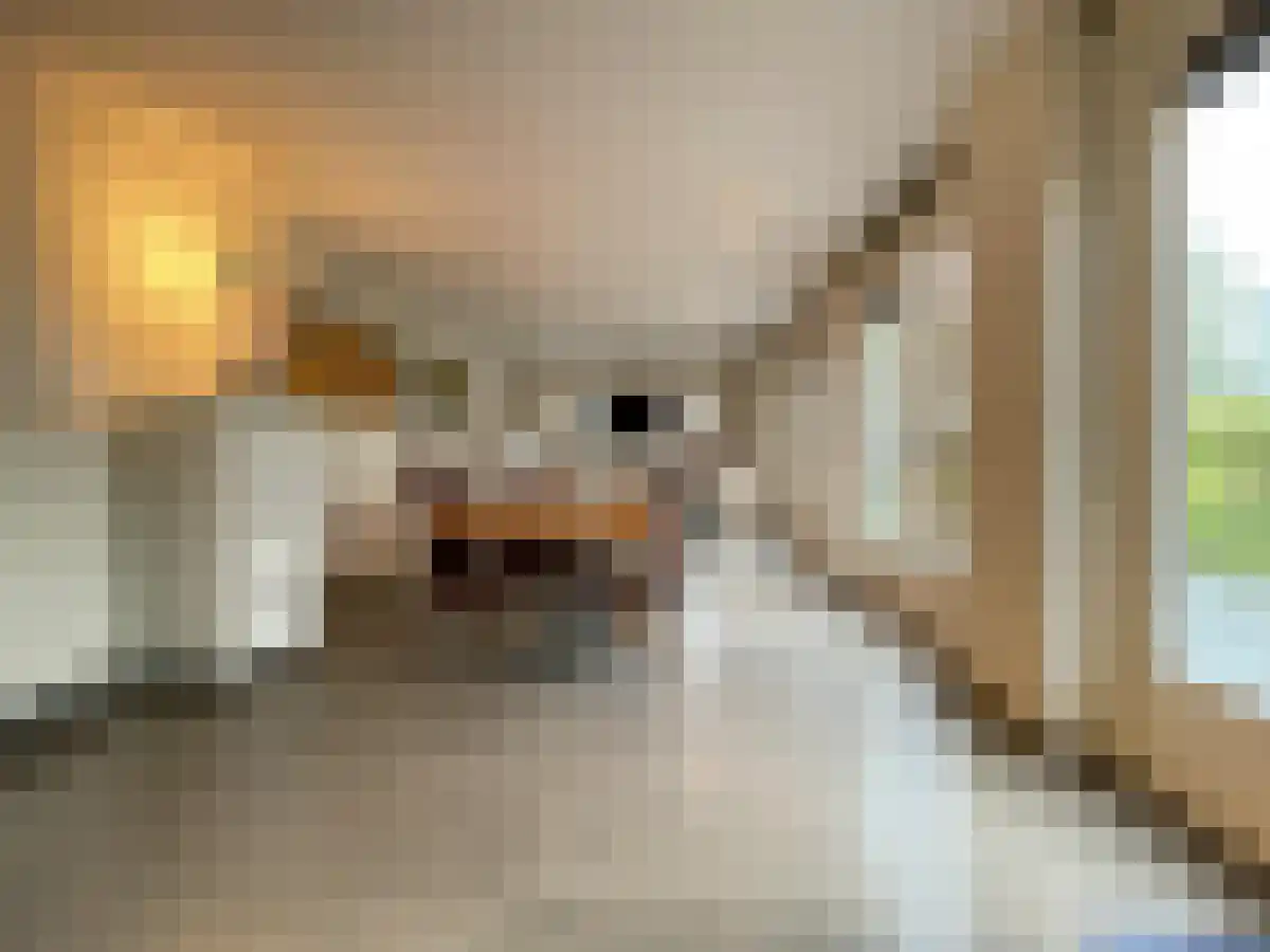 Visotter 15 Amersfoort thumbnail 5