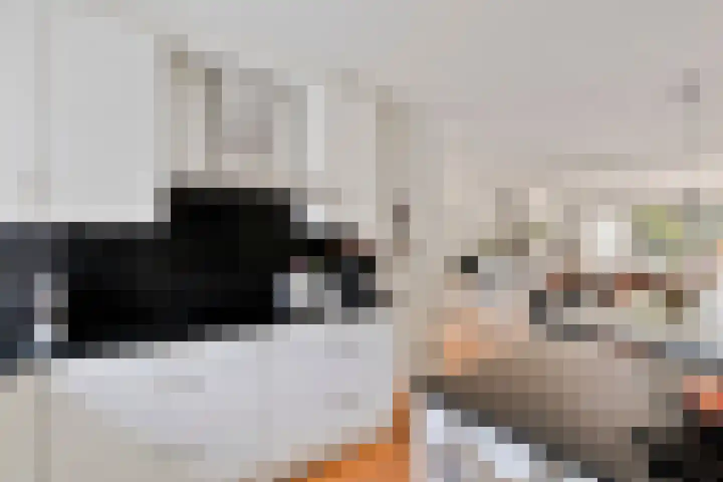 Visotter 17 Leusden thumbnail 16