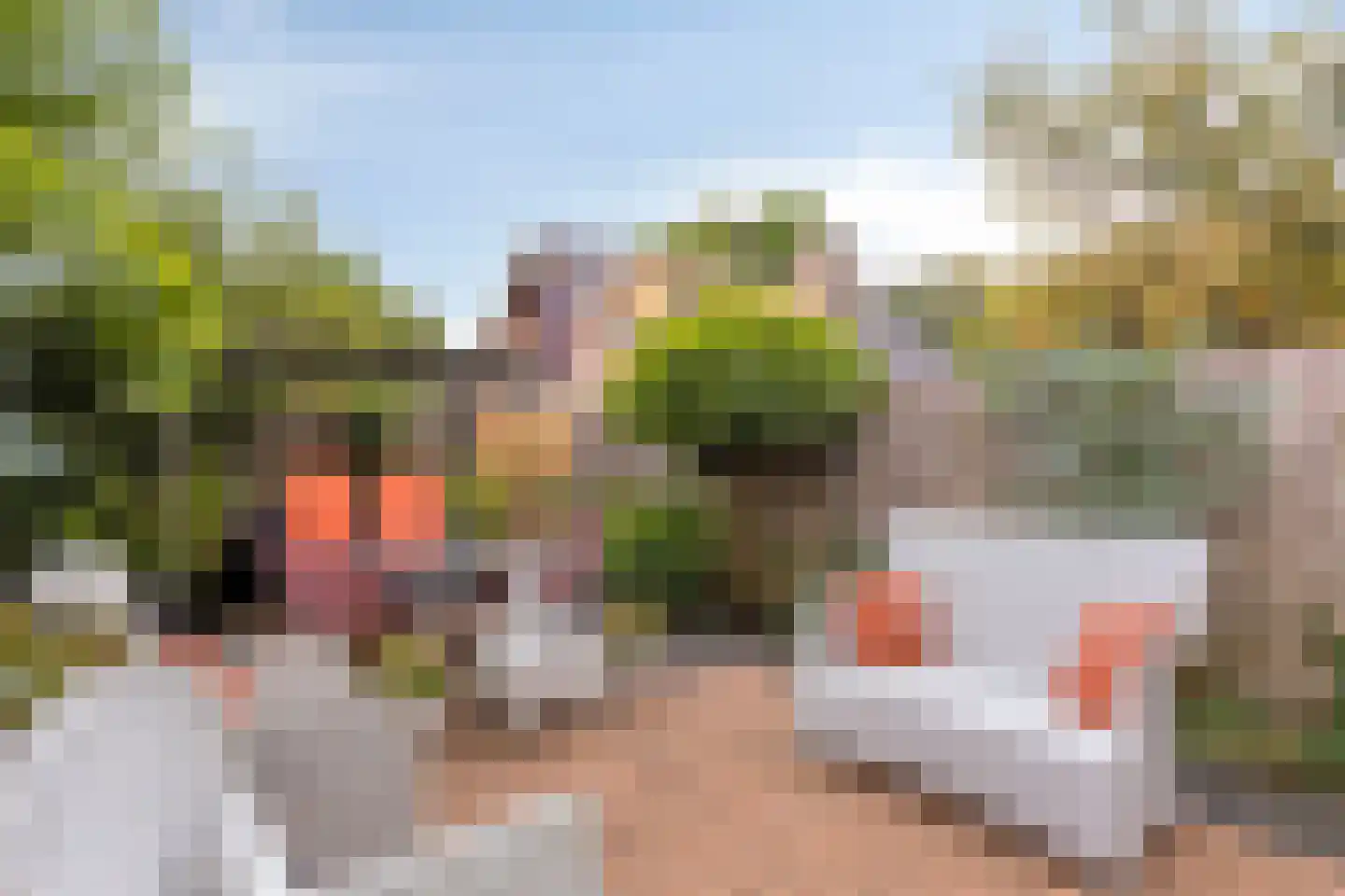 Visotter 17 Leusden thumbnail 32