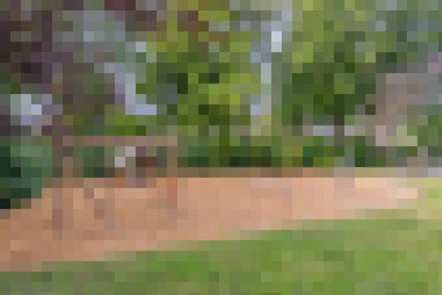 Visotter 17 Leusden thumbnail 35