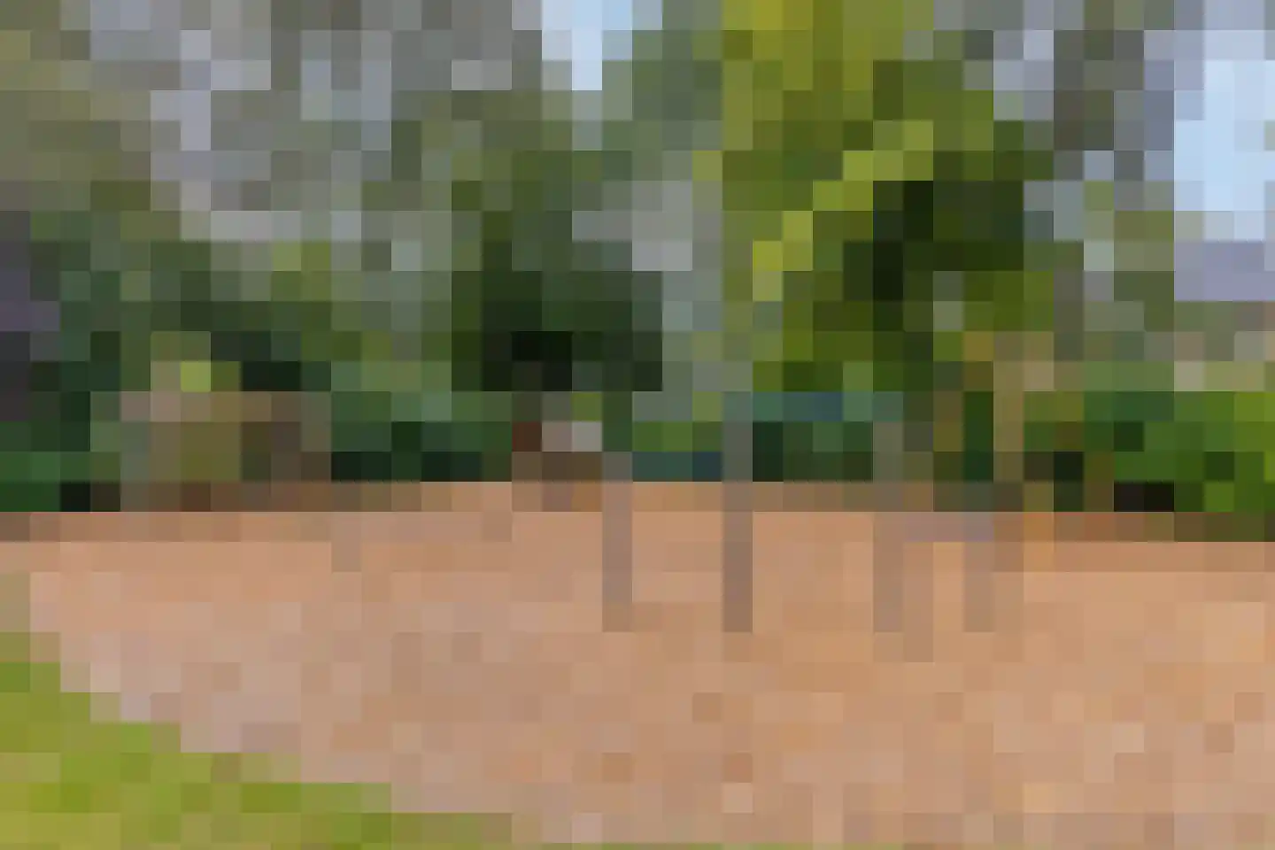 Visotter 17 Leusden thumbnail 36