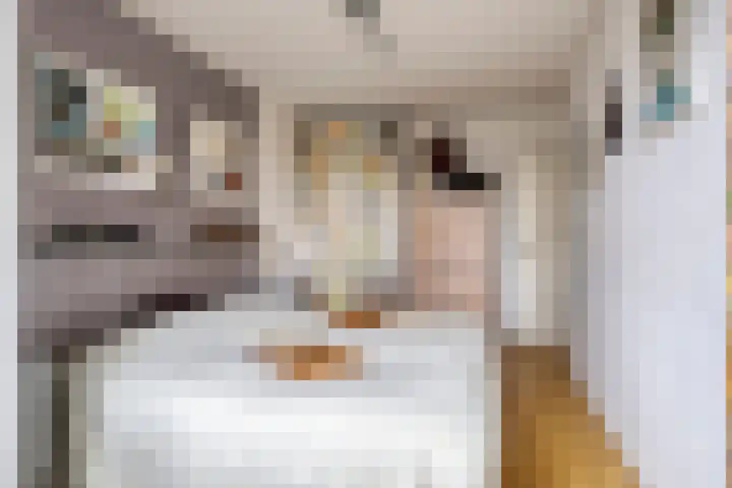 Visotter 24 Leusden thumbnail 15