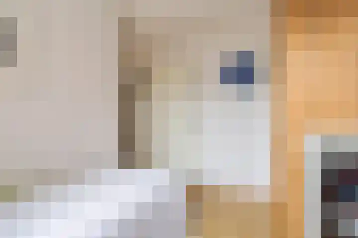 Visotter 24 Leusden thumbnail 21