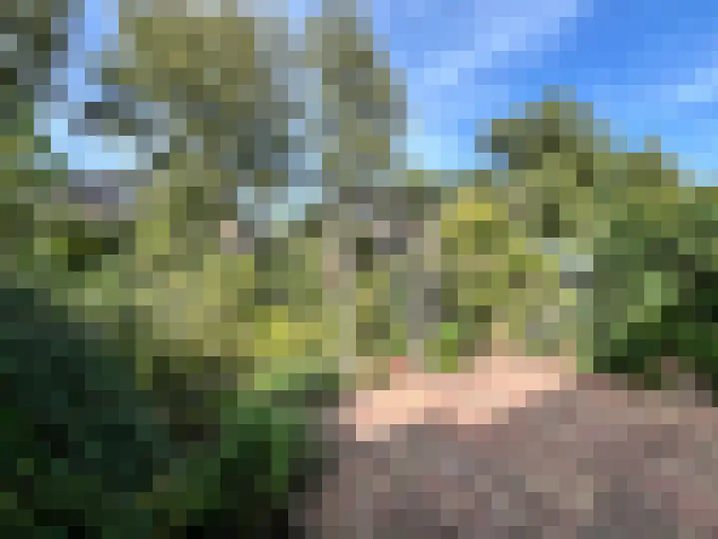 Visotter 24 Leusden thumbnail 22