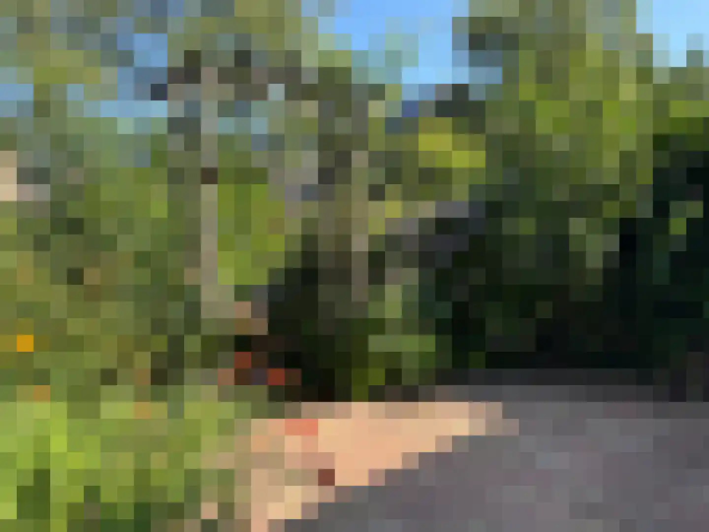 Visotter 24 Leusden thumbnail 23