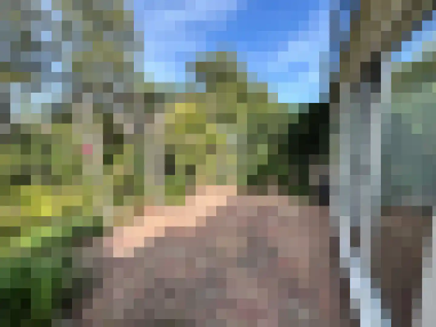 Visotter 24 Leusden thumbnail 23