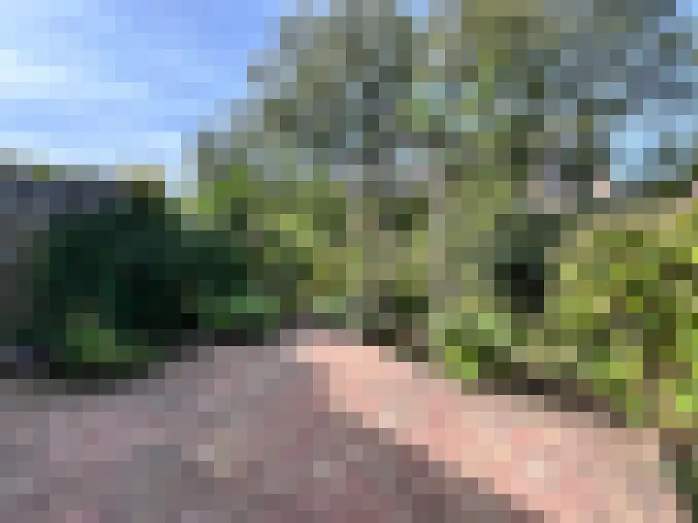 Visotter 24 Leusden thumbnail 24