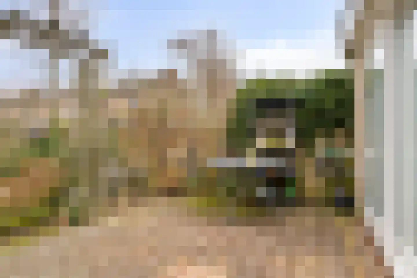 Visotter 24 Leusden thumbnail 25