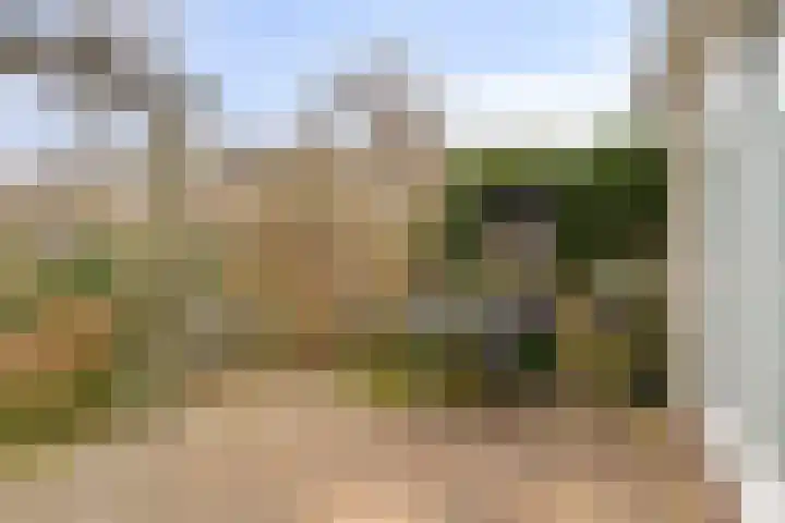 Visotter 24 Leusden thumbnail 25