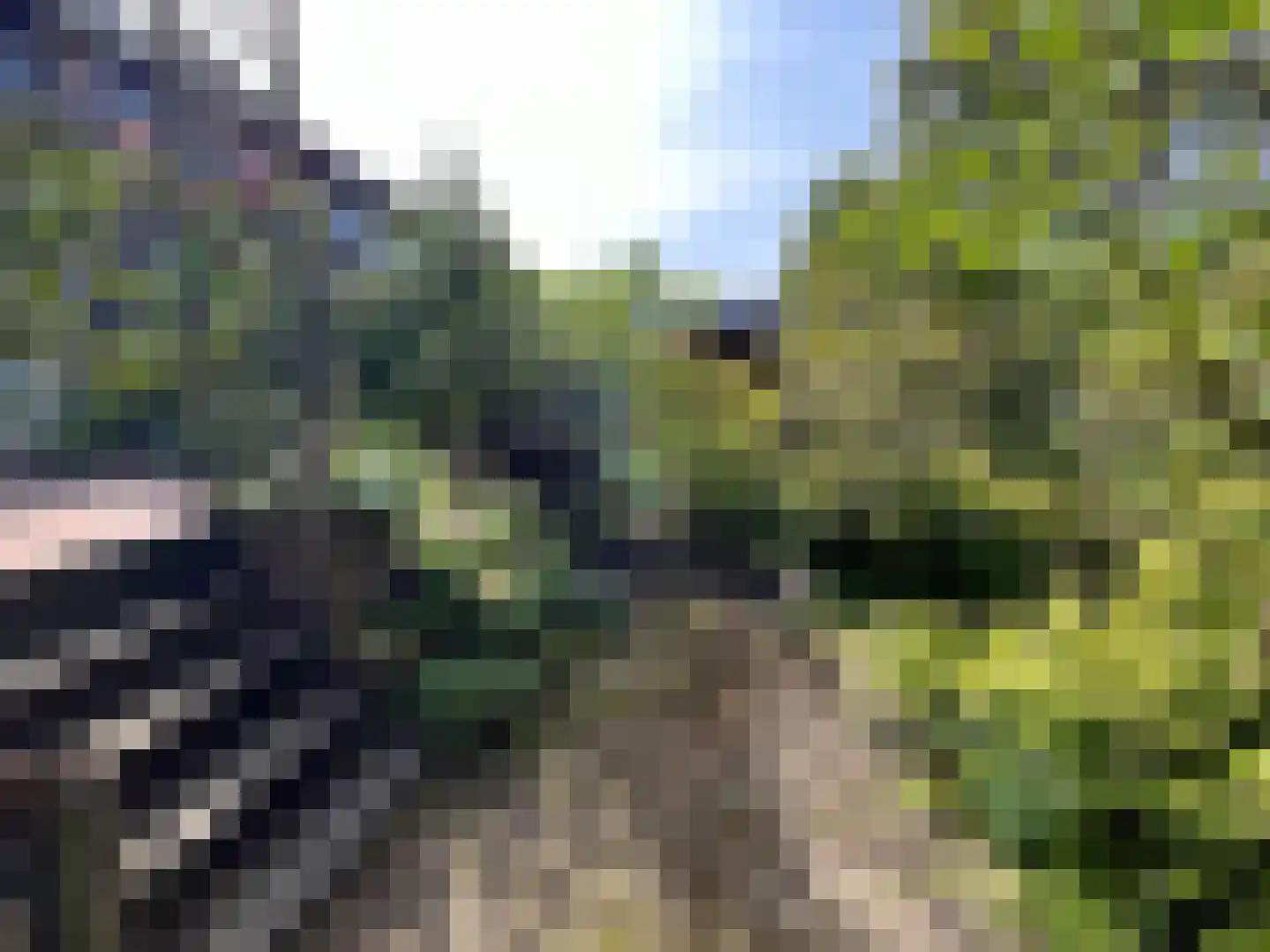 Visotter 24 Leusden thumbnail 26