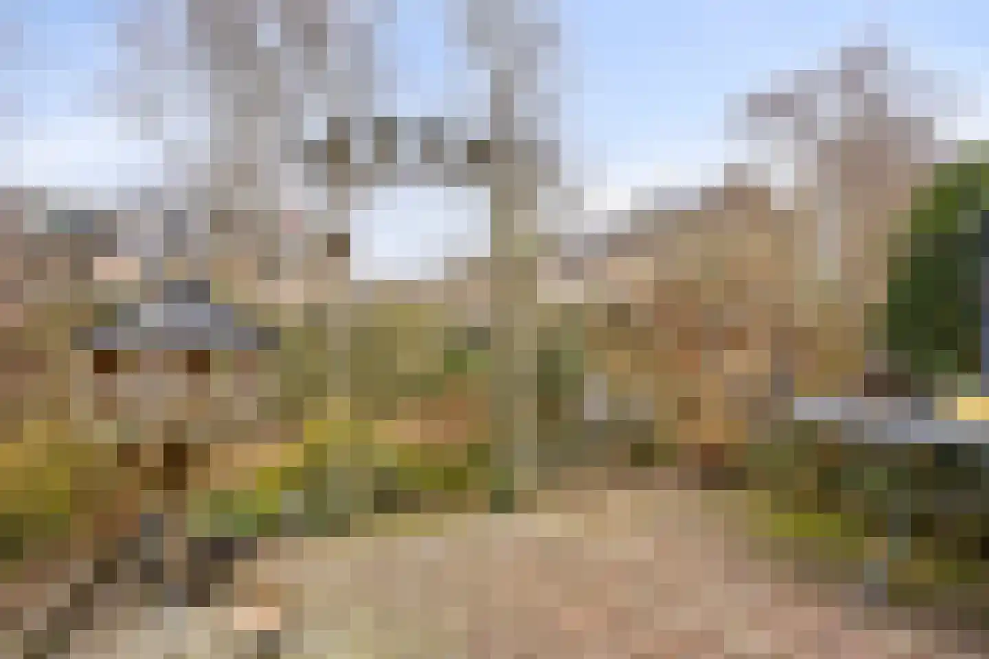 Visotter 24 Leusden thumbnail 26