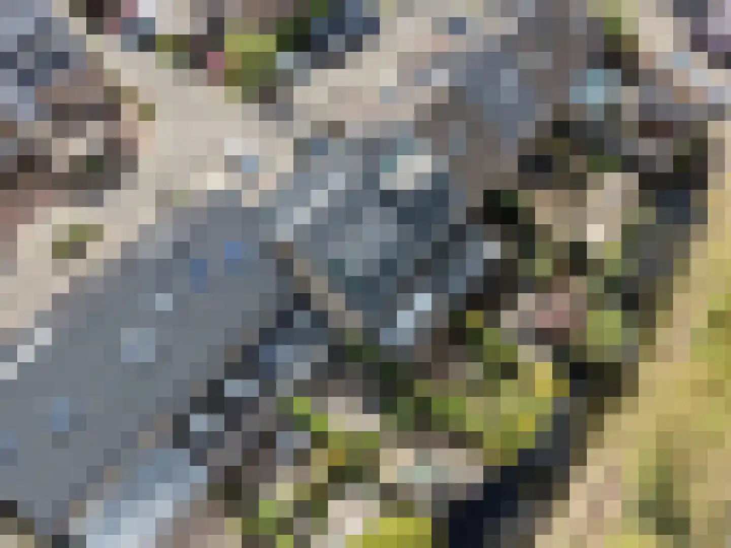 Visotter 24 Leusden thumbnail 27