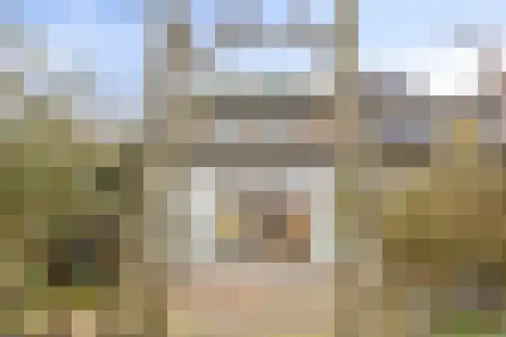Visotter 24 Leusden thumbnail 28