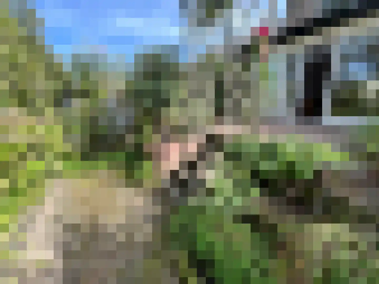 Visotter 24 Leusden thumbnail 28
