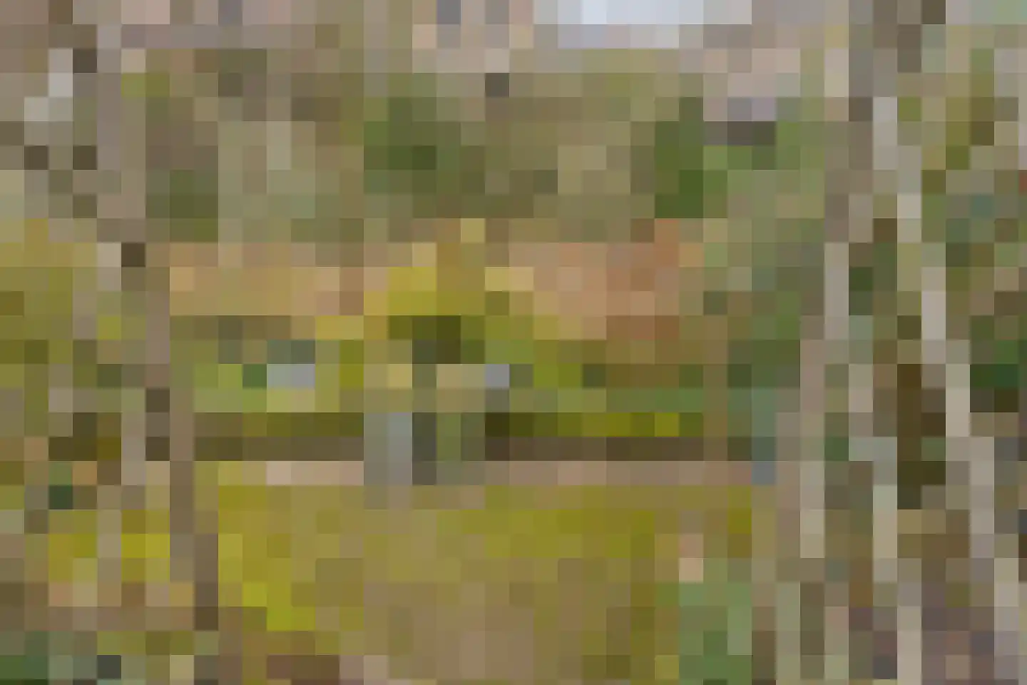 Visotter 24 Leusden thumbnail 30