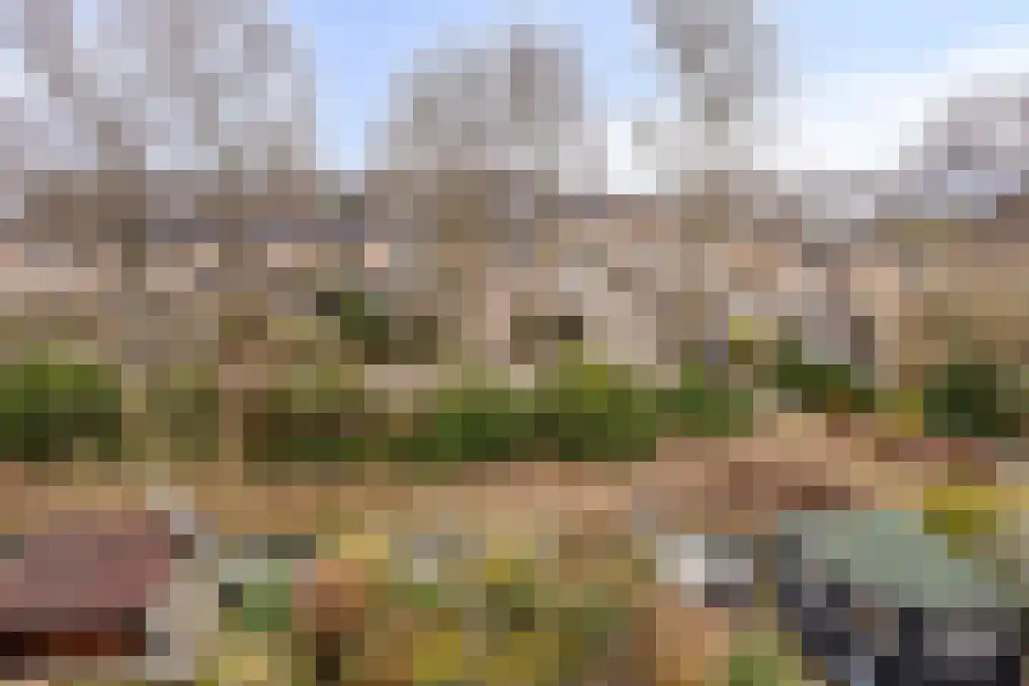 Visotter 24 Leusden thumbnail 32