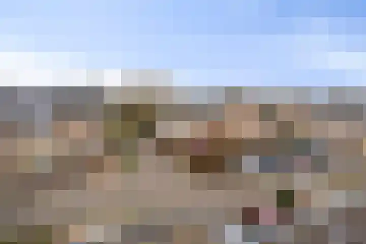 Visotter 24 Leusden thumbnail 33