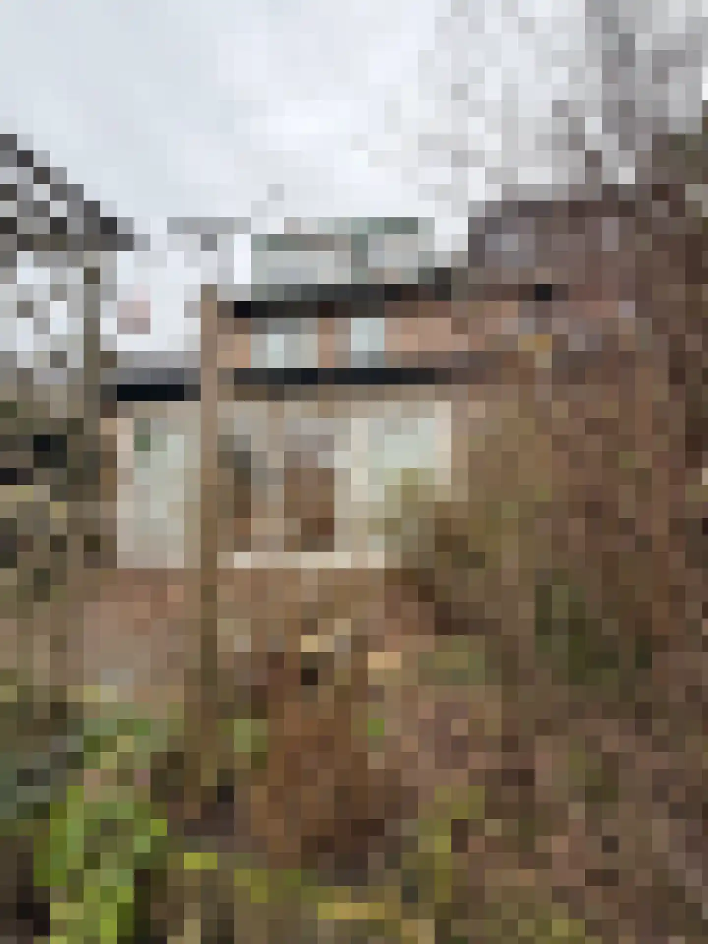 Visotter 24 Leusden thumbnail 36
