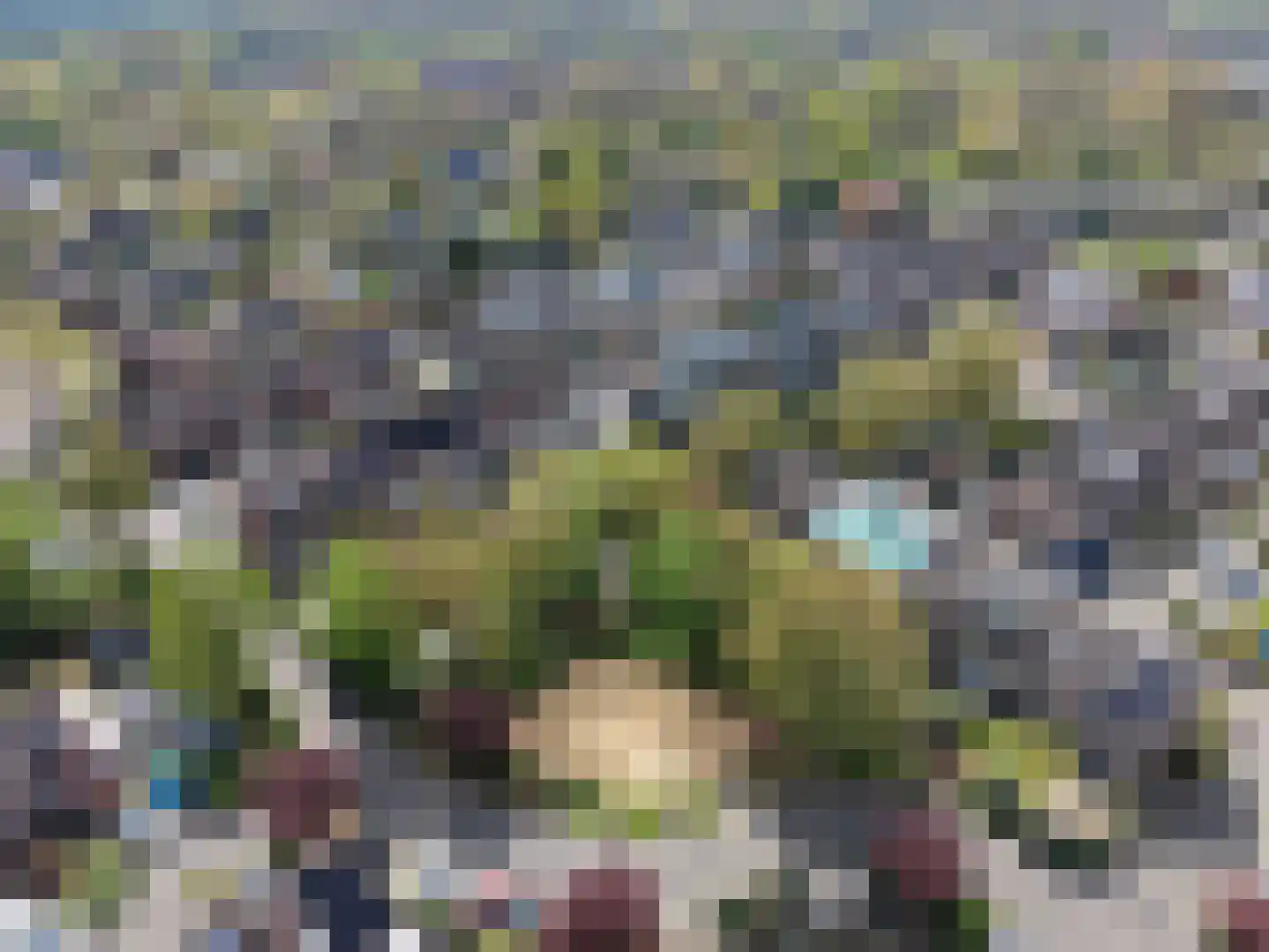 Visotter 24 Leusden thumbnail 37