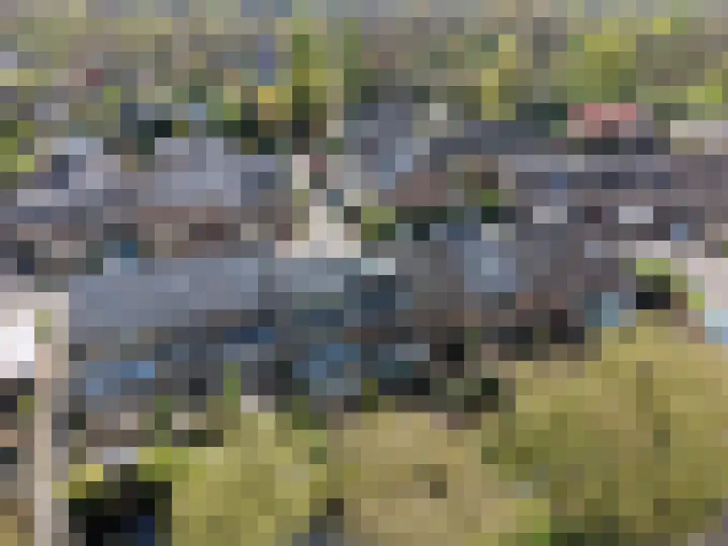 Visotter 24 Leusden thumbnail 38
