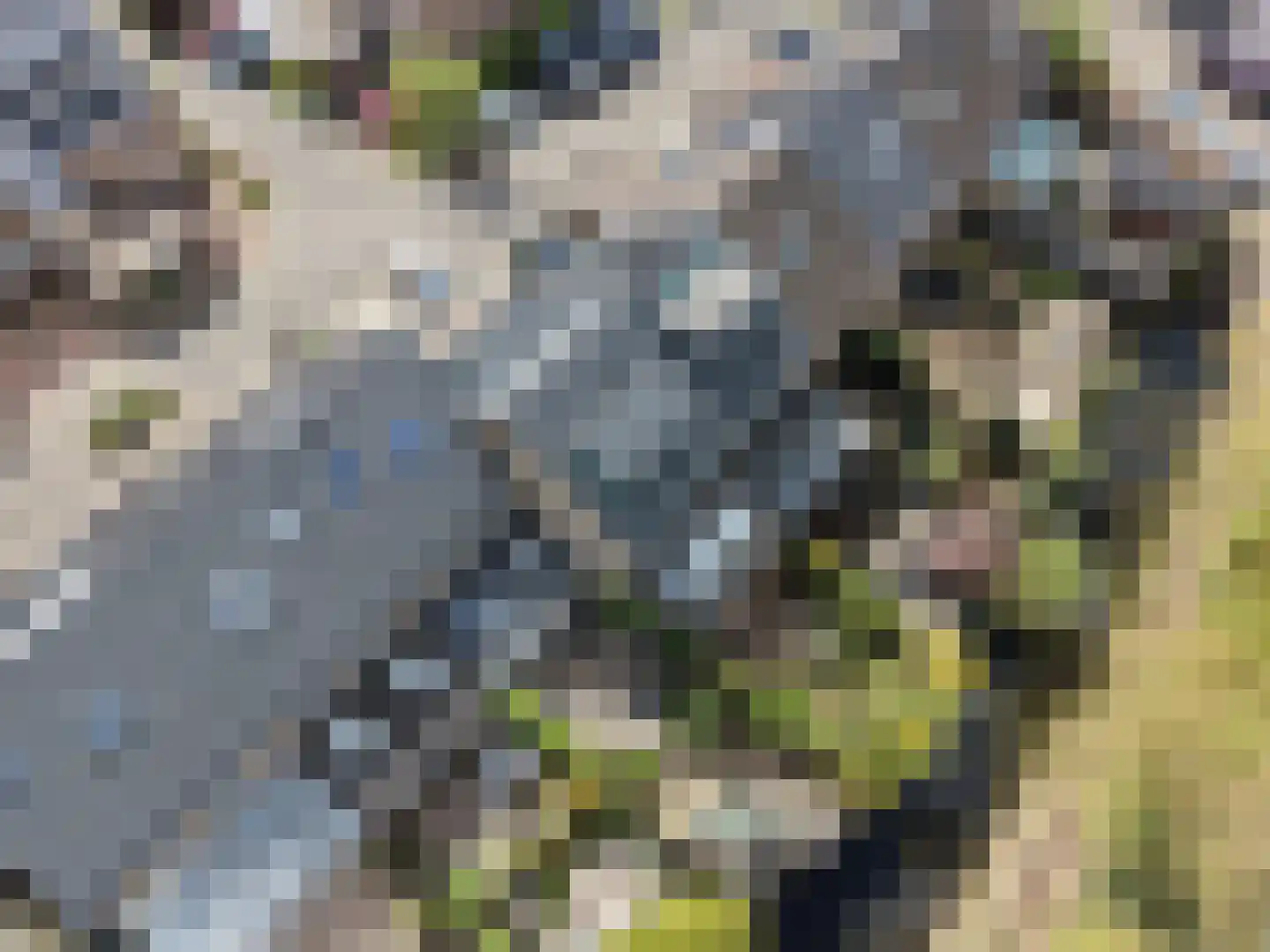 Visotter 24 Leusden thumbnail 39