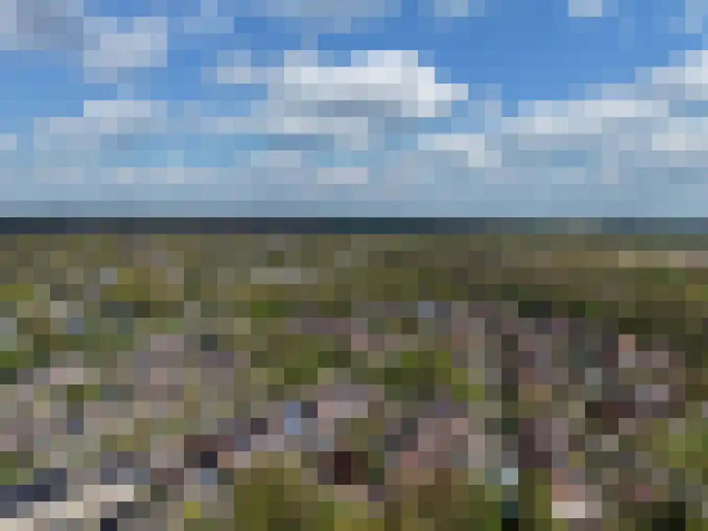 Visotter 24 Leusden thumbnail 40