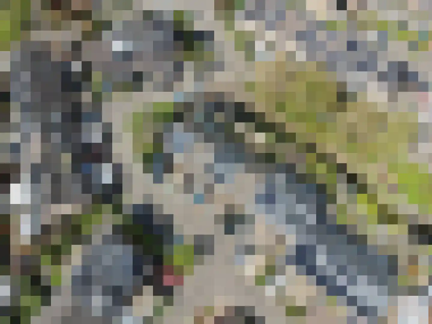 Visotter 24 Leusden thumbnail 41