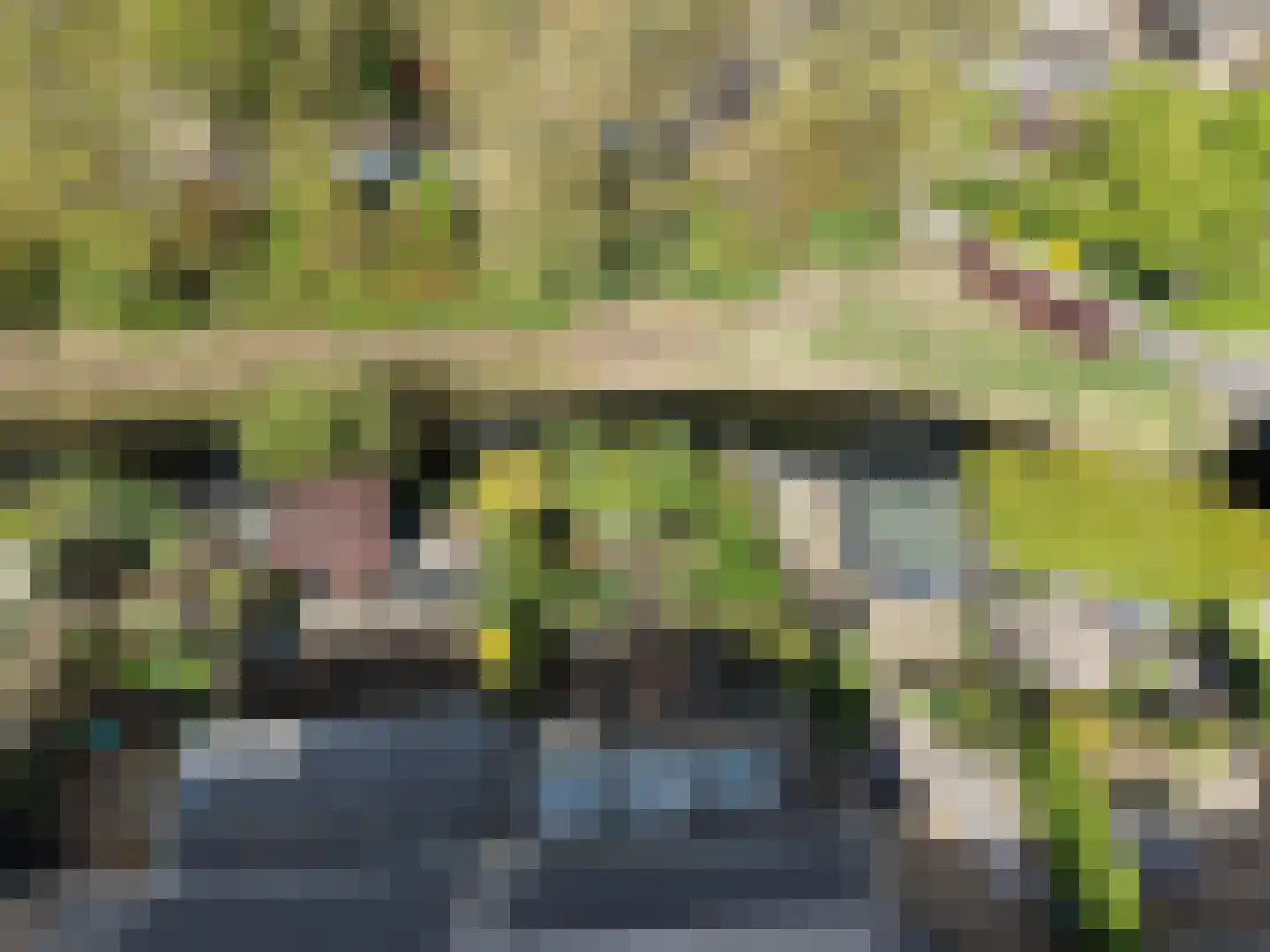 Visotter 24 Leusden thumbnail 44