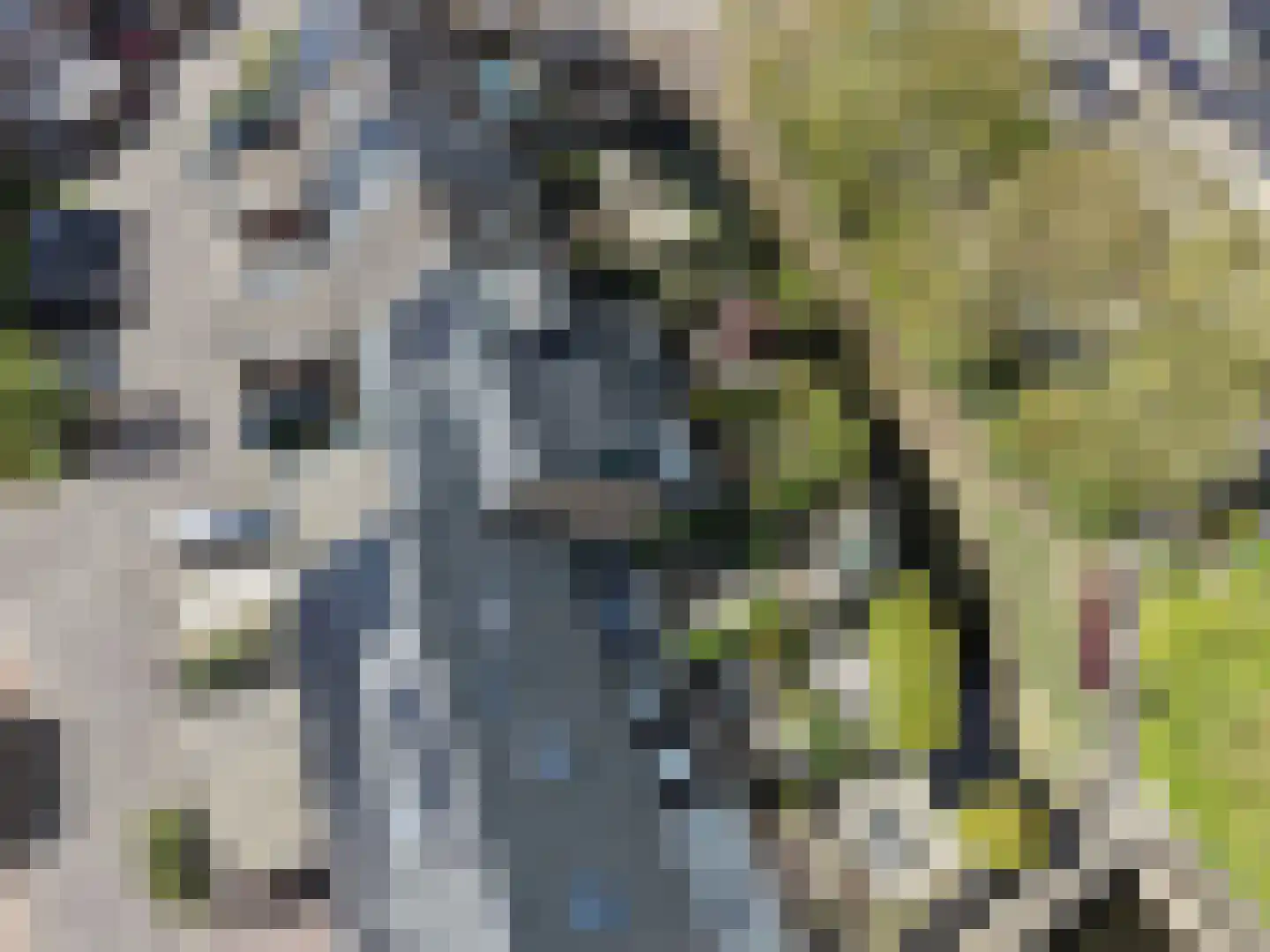 Visotter 24 Leusden thumbnail 45