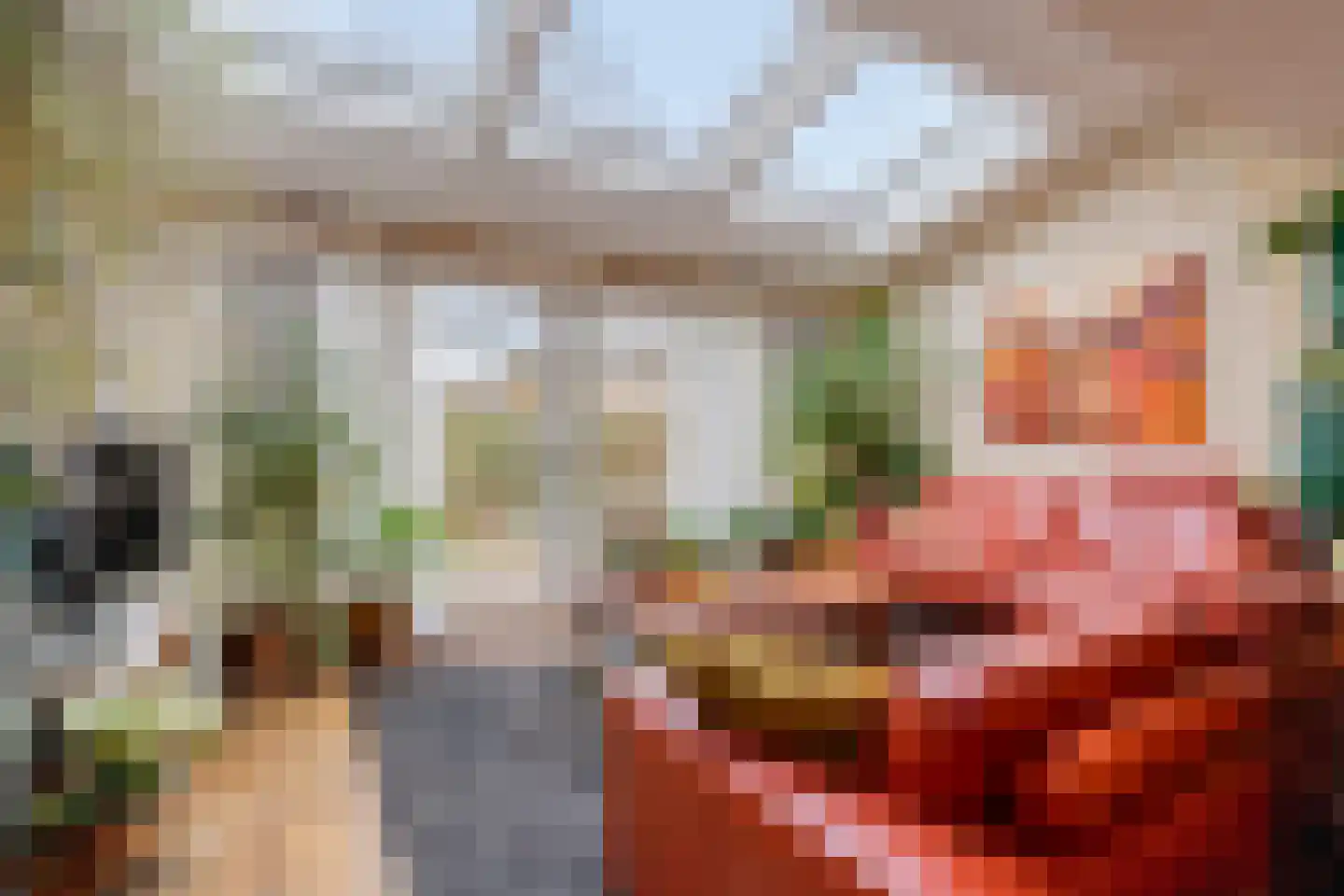 Visotter 24 Leusden thumbnail 6