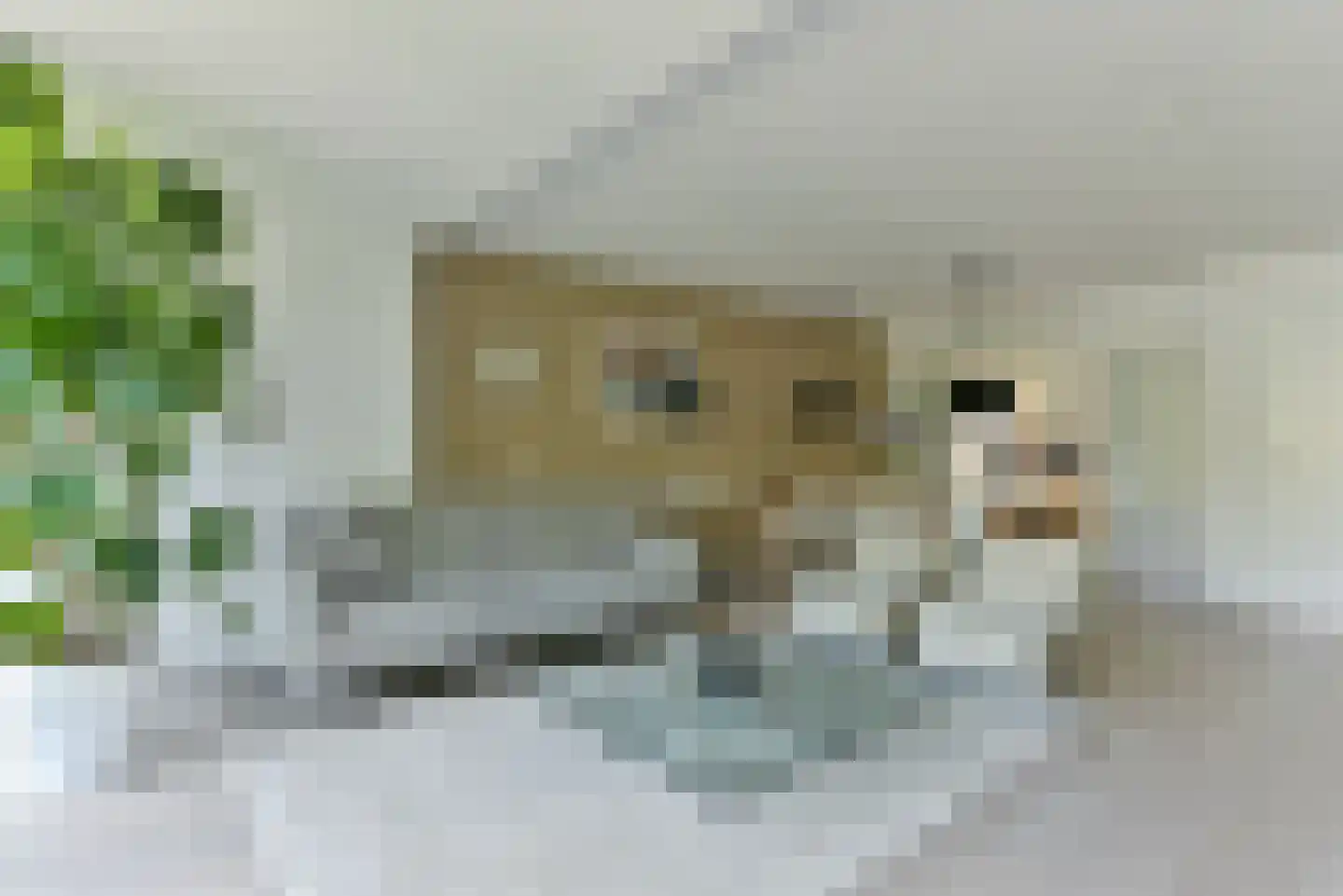 Visotter 45 Leusden thumbnail 10