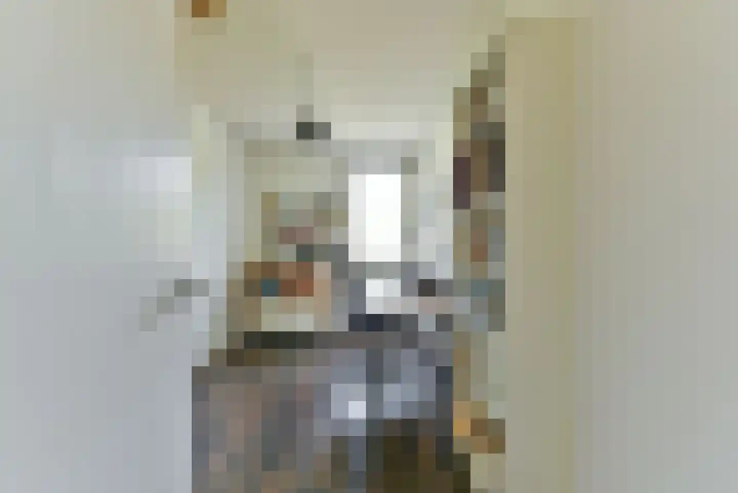 Visotter 45 Leusden thumbnail 28