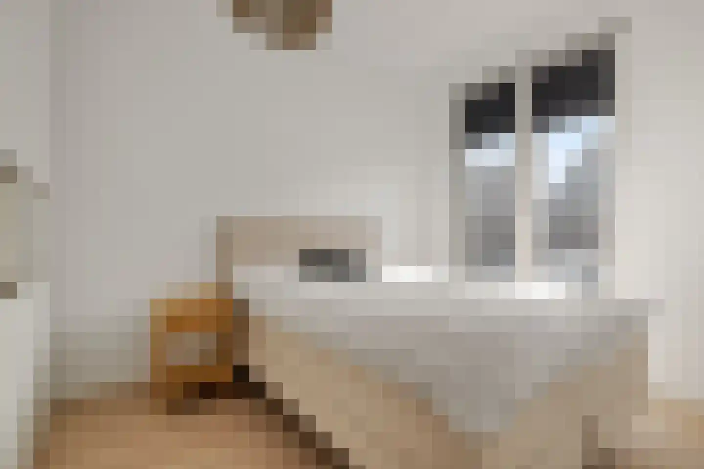 Visotter 5 Boxtel thumbnail 24