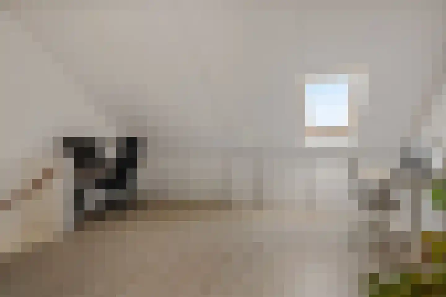 Visotter 5 Boxtel thumbnail 35