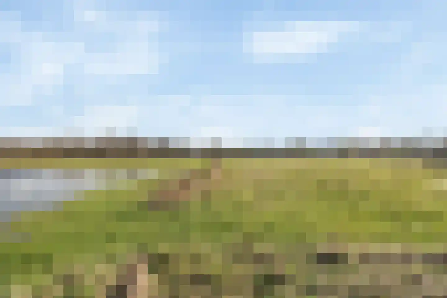 Visotter 5 Boxtel thumbnail 43
