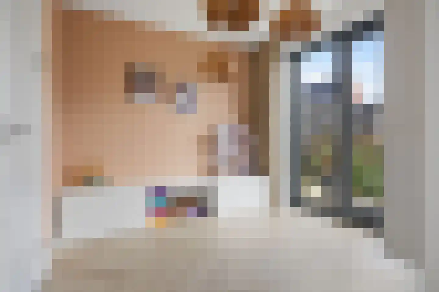 Visotter 9 Boxtel thumbnail 18