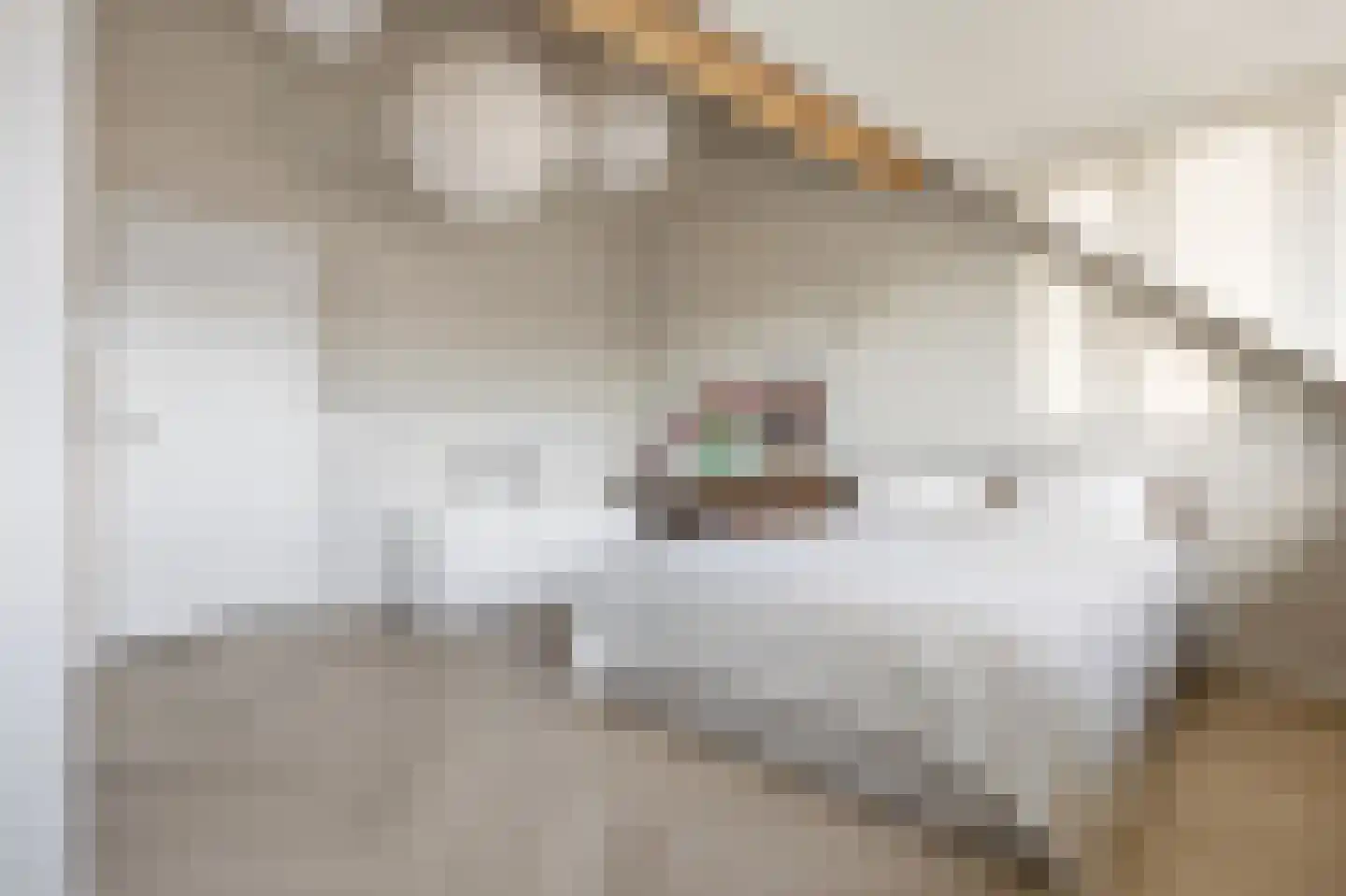 Visotter 9 Boxtel thumbnail 38