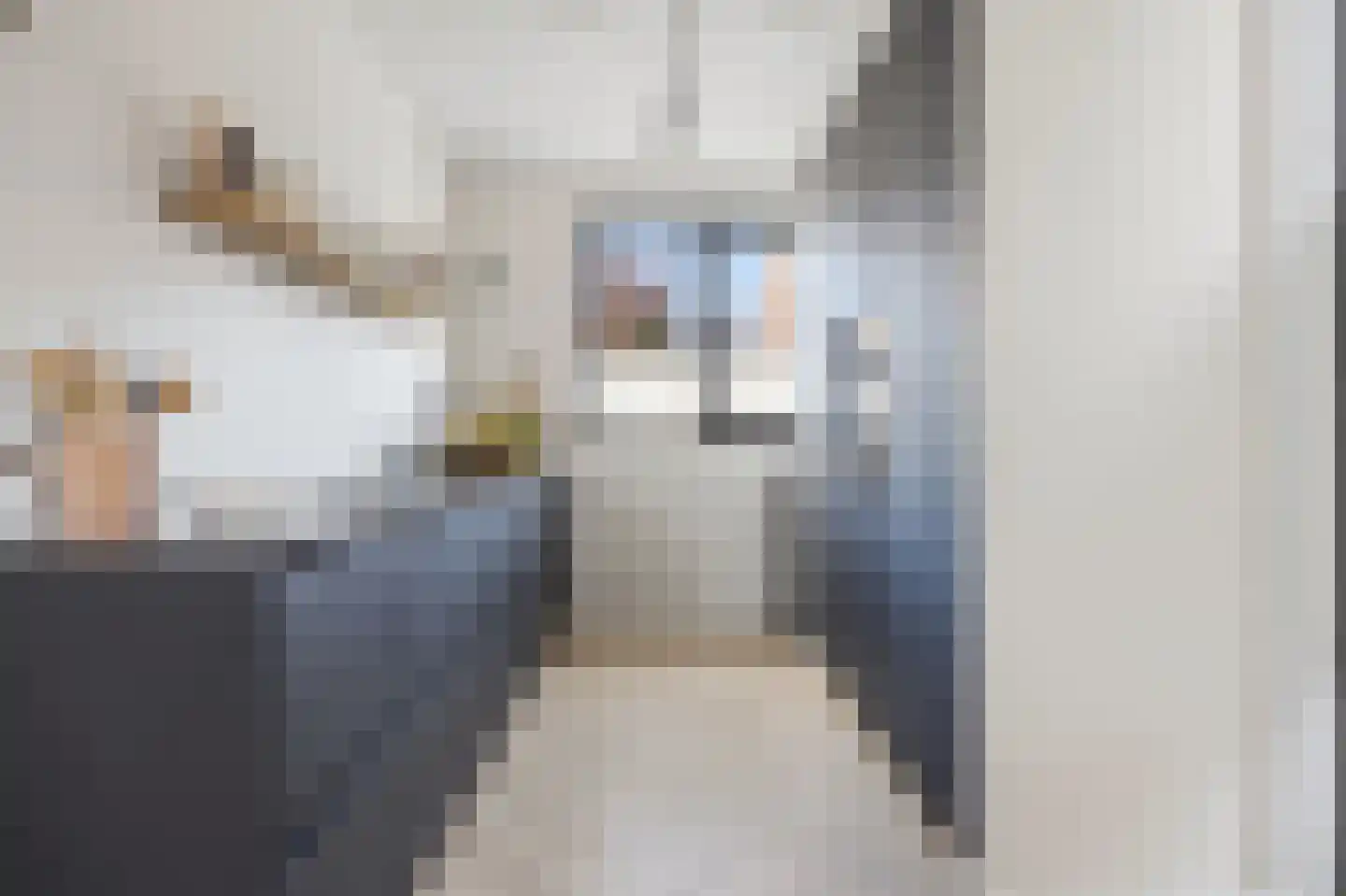 Visotter 9 Boxtel thumbnail 4
