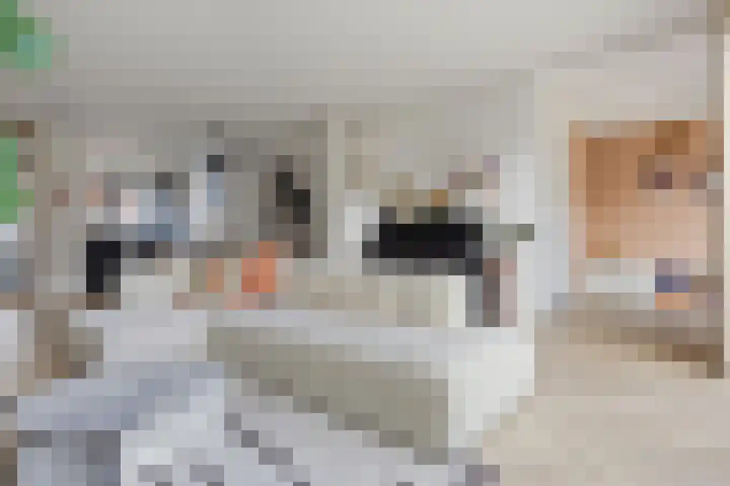 Visotter 9 Boxtel thumbnail 9