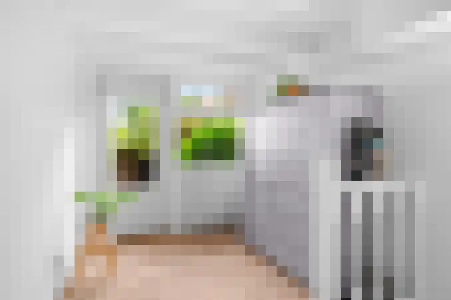 Vispoortstraat 24 Zutphen thumbnail 15