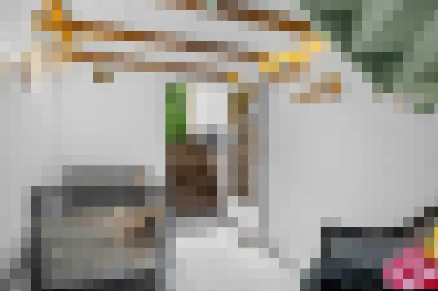 Vispoortstraat 24 Zutphen thumbnail 23