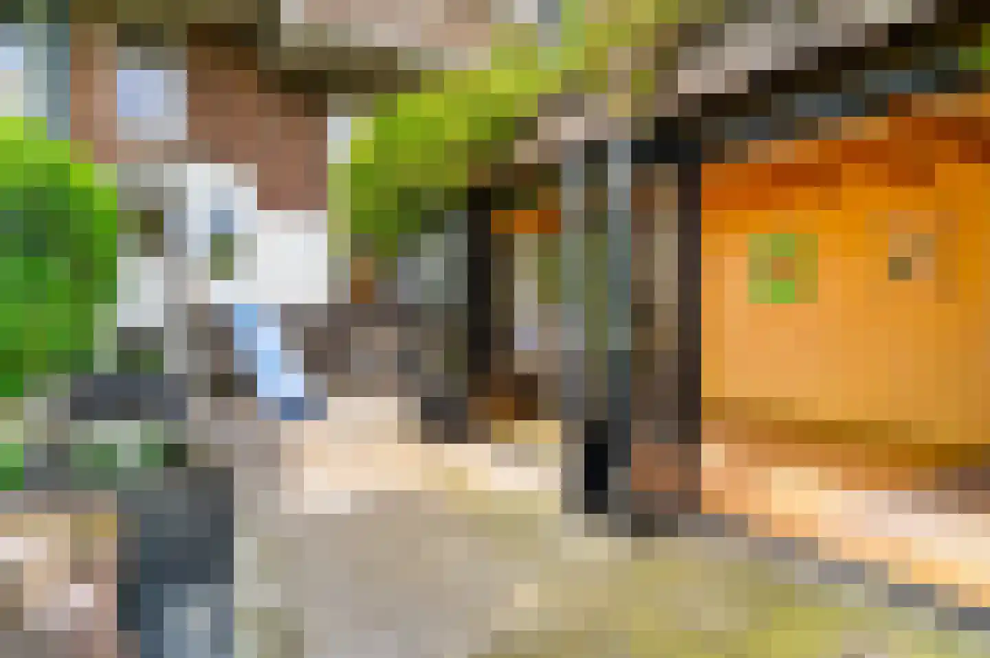 Vispoortstraat 24 Zutphen thumbnail 33